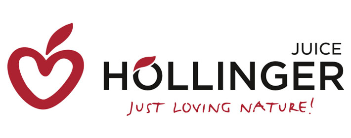 Logo Hollinger